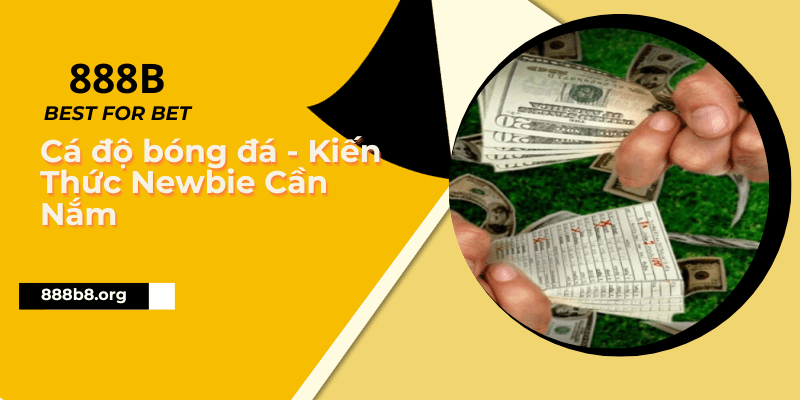 Cá Độ Bóng Đá - Các Kiến Thức Cơ Bản Mà Newbie Cần Nắm Rõ