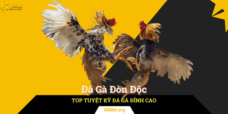 Đá Gà Đòn Độc - Top Tuyệt Kỹ Đá Gà Đỉnh Cao